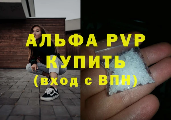 хмурый Аркадак