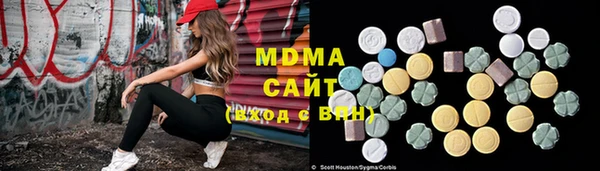 хмурый Аркадак