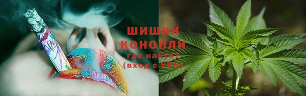 хмурый Аркадак