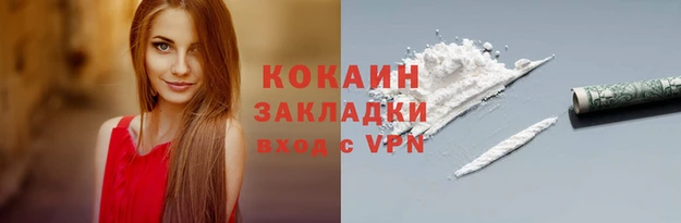 хмурый Аркадак