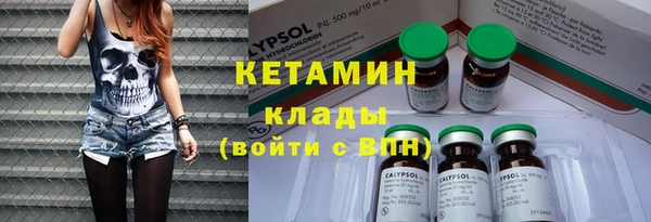 хмурый Аркадак